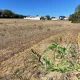 BEAU TERRAIN DE 438M2 - LOTISSEMENT - BELLE VUE DEGAGEE - PROCHE BEZIERS