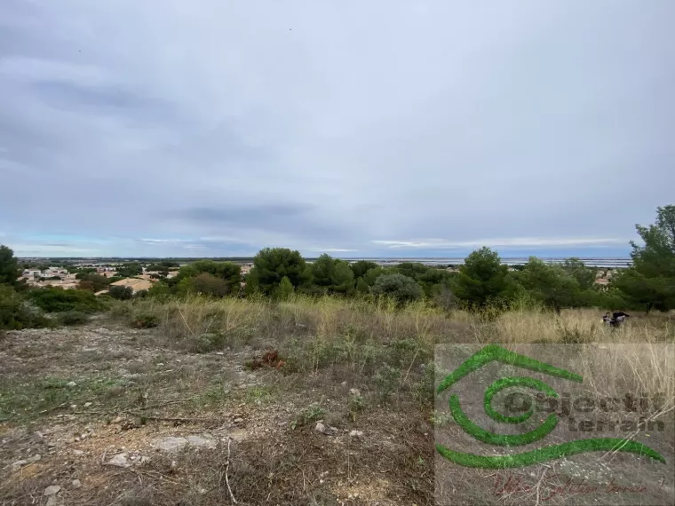 TERRAIN À SAISIR À FRONTIGNAN-428M²