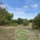 EXCLUSIVITÉ-TERRAIN HORS LOTISSEMENT-442M2