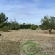 EXCLUSIVITÉ-TERRAIN HORS LOTISSEMENT-442M2